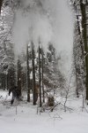 Winter 2010