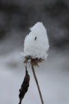 Winter 2010